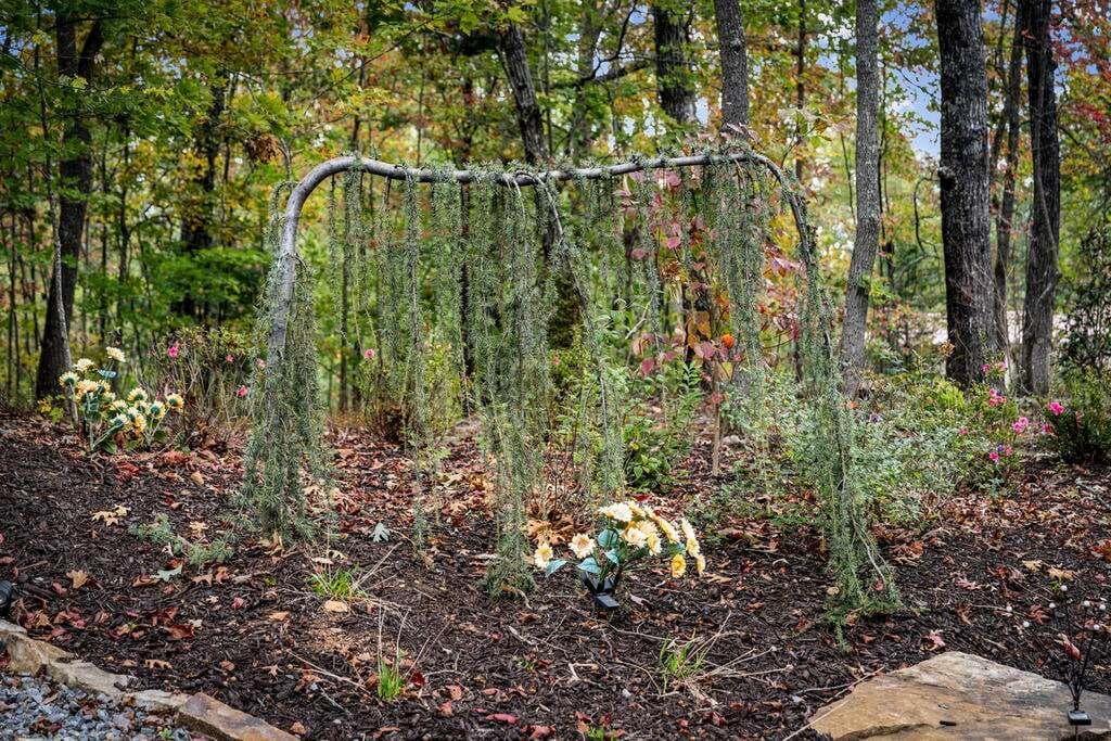 2 bedroom, 3 bathroom, 1,288 sq ft single family residence for sale at 194 Cox Road, Blue Ridge, GA 30513 — photo 7