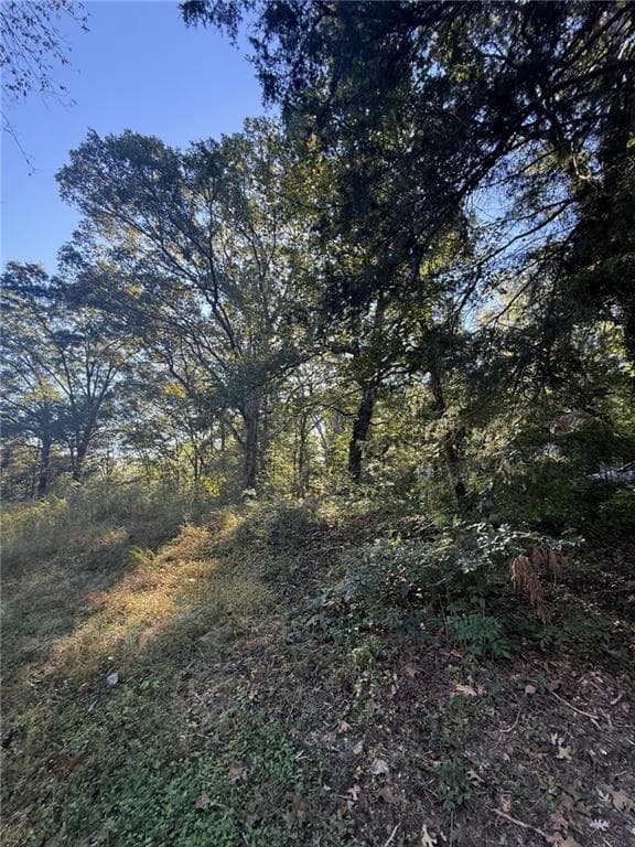 single family residence for sale at 341 North Avenue, Villa Rica, GA 30180 — photo 2