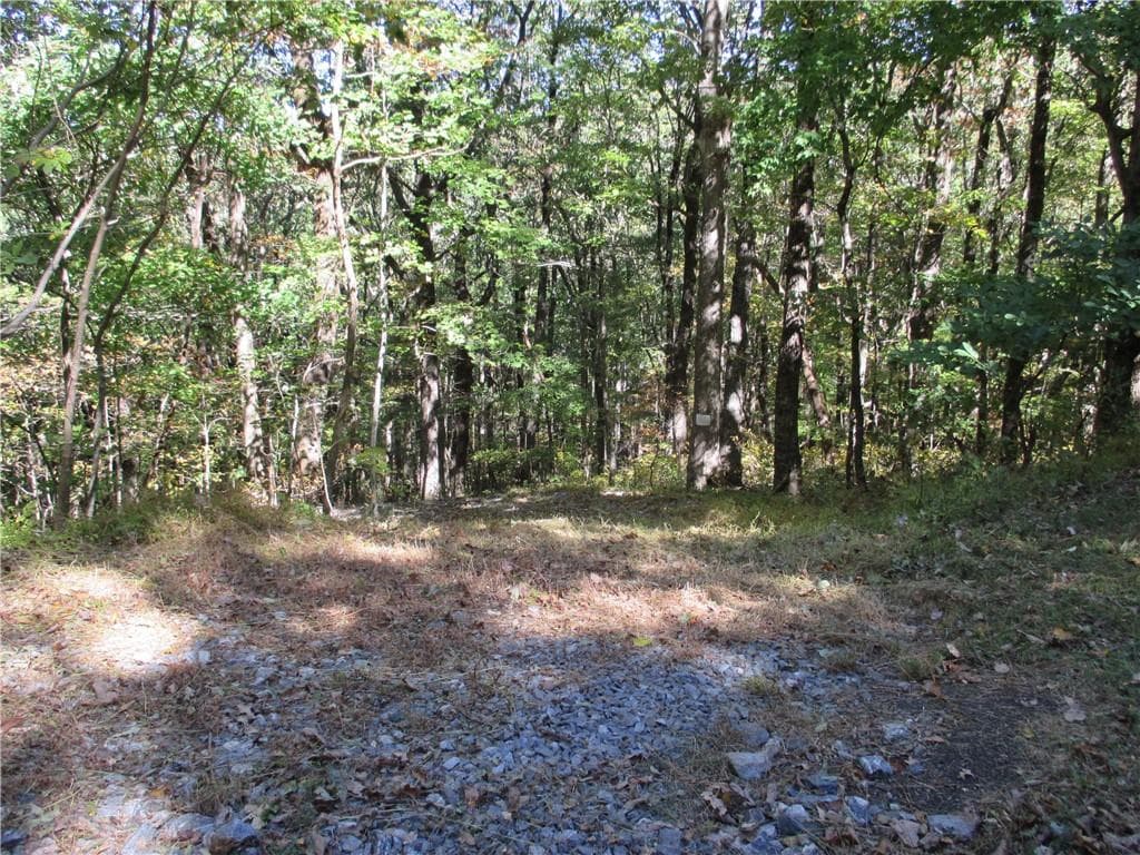 single family residence for sale at Lot 54 High Clifff Road, Jasper, GA 30143 — photo 3