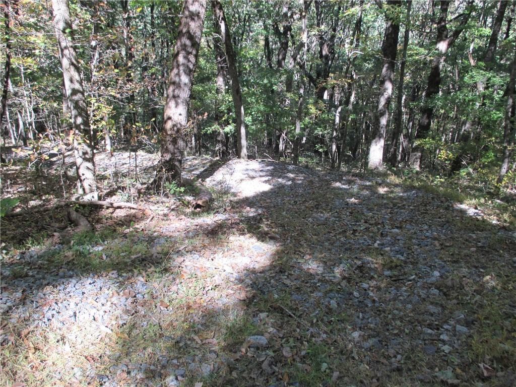 single family residence for sale at Lot 54 High Clifff Road, Jasper, GA 30143 — photo 4