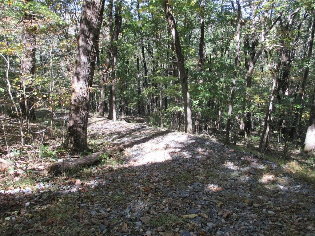 single family residence for sale at Lot 54 High Clifff Road, Jasper, GA 30143 — photo 5