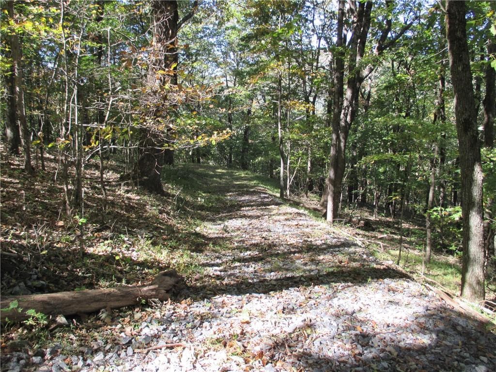 single family residence for sale at Lot 54 High Clifff Road, Jasper, GA 30143 — photo 6