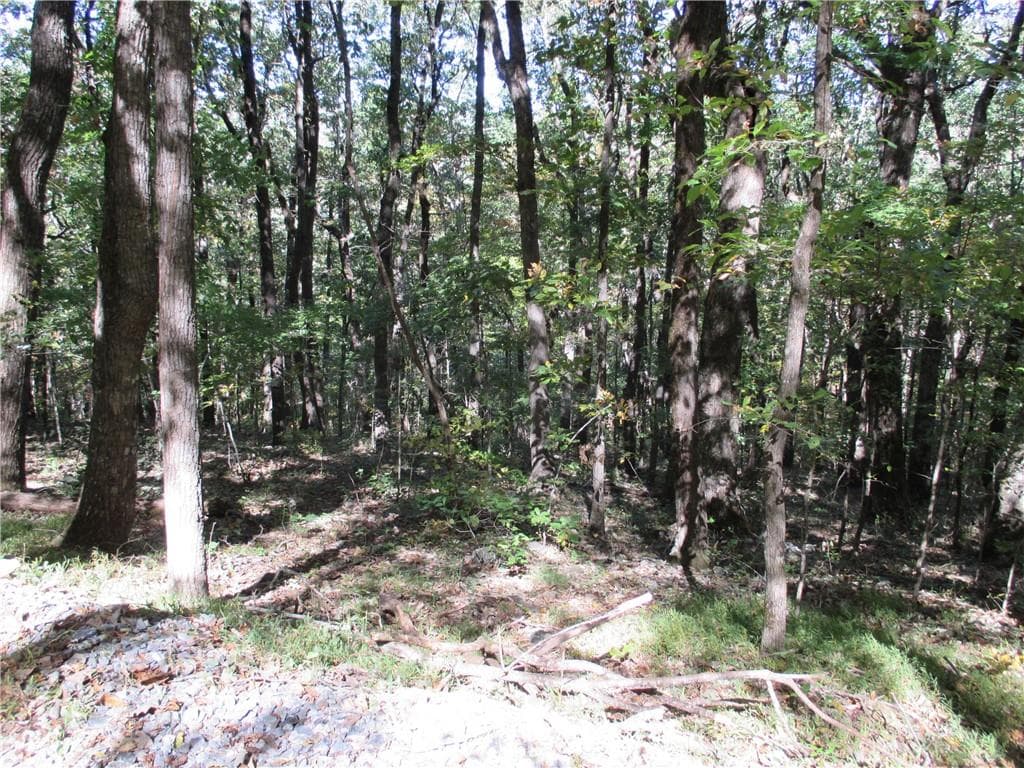 single family residence for sale at Lot 54 High Clifff Road, Jasper, GA 30143 — photo 7
