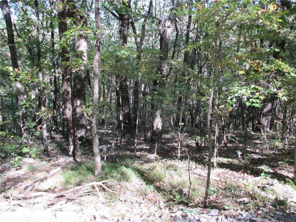 single family residence for sale at Lot 54 High Clifff Road, Jasper, GA 30143 — photo 8