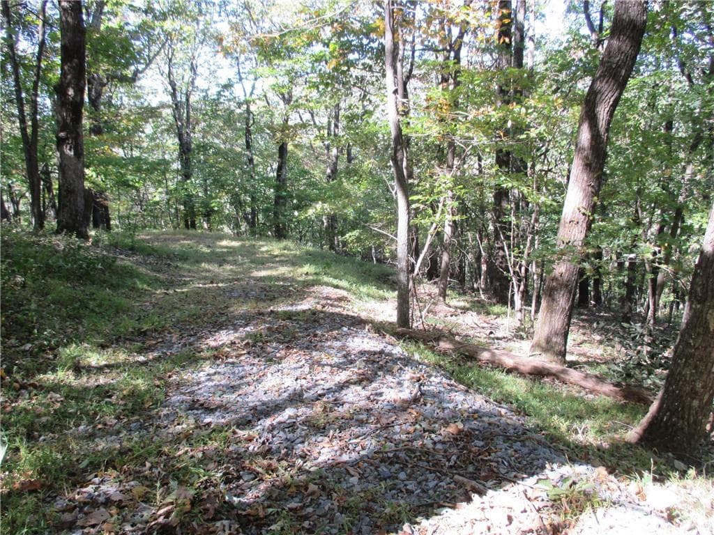 single family residence for sale at Lot 54 High Clifff Road, Jasper, GA 30143 — photo 9