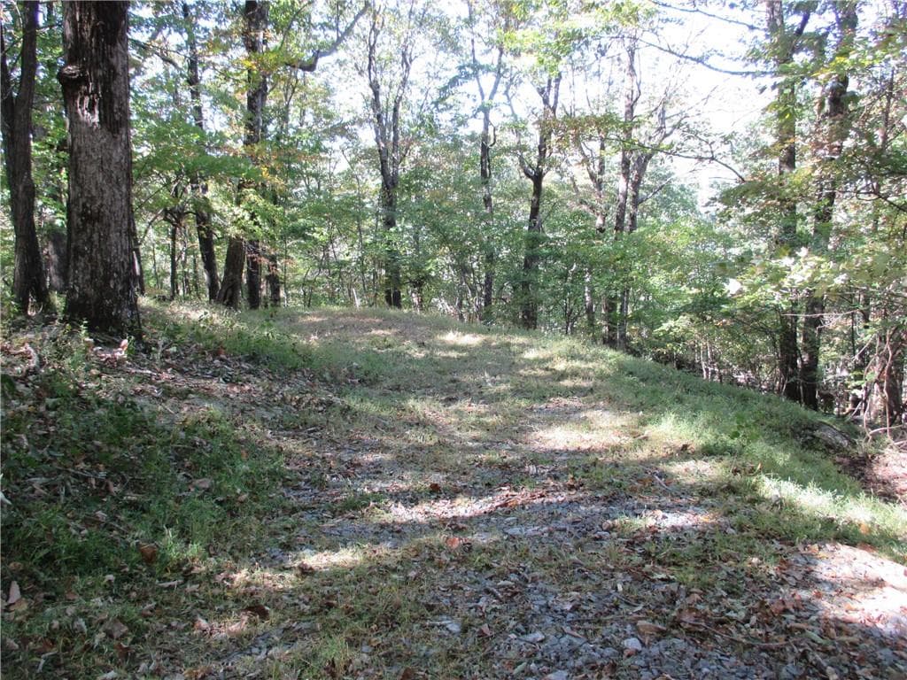 single family residence for sale at Lot 54 High Clifff Road, Jasper, GA 30143 — photo 10