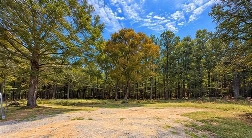 other for sale at 956 Plainville Road, Plainville, GA 30733 — photo 3