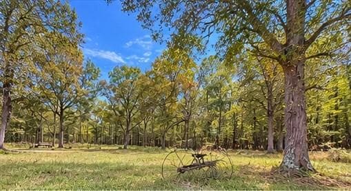 other for sale at 956 Plainville Road, Plainville, GA 30733 — photo 4