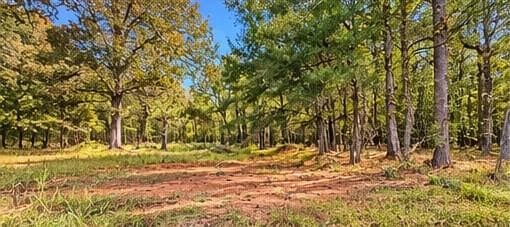 other for sale at 956 Plainville Road, Plainville, GA 30733 — photo 5