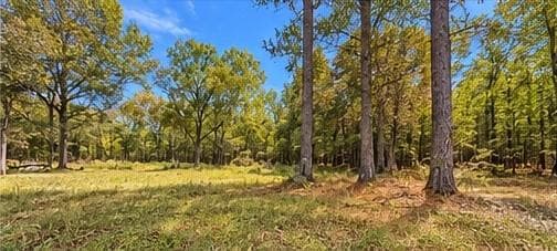 other for sale at 956 Plainville Road, Plainville, GA 30733 — photo 6
