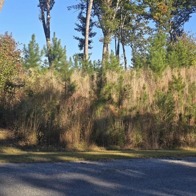 single family residence for sale at Lot 86 River Overlook Lane, Ellijay, GA 30540 — photo 2
