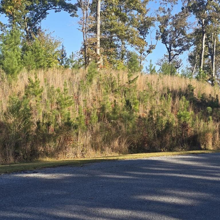single family residence for sale at Lot 86 River Overlook Lane, Ellijay, GA 30540 — photo 3