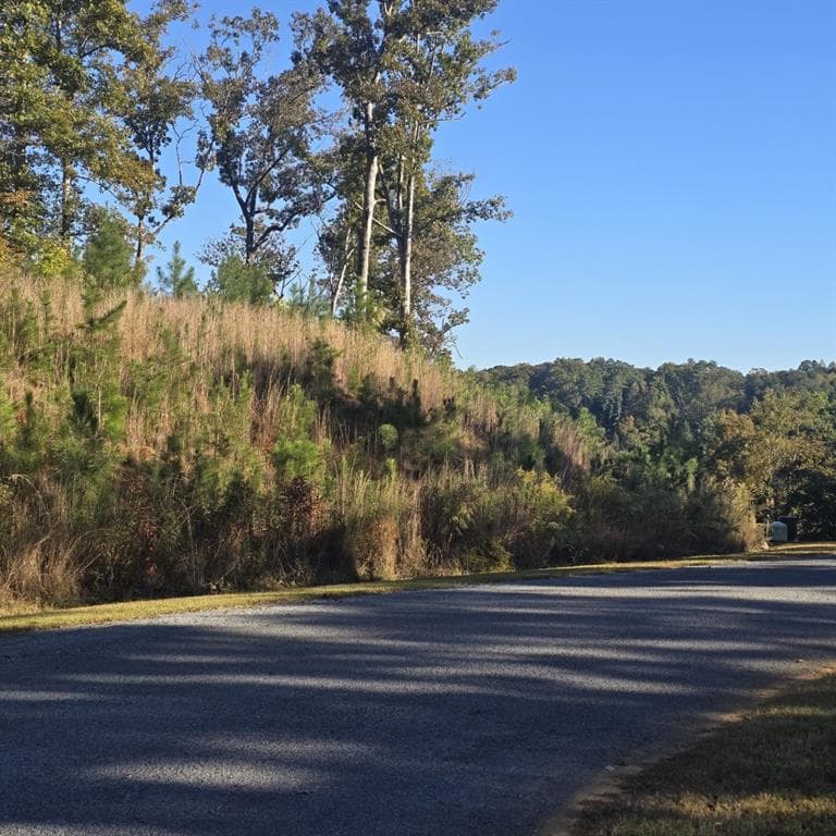 single family residence for sale at Lot 86 River Overlook Lane, Ellijay, GA 30540 — photo 4