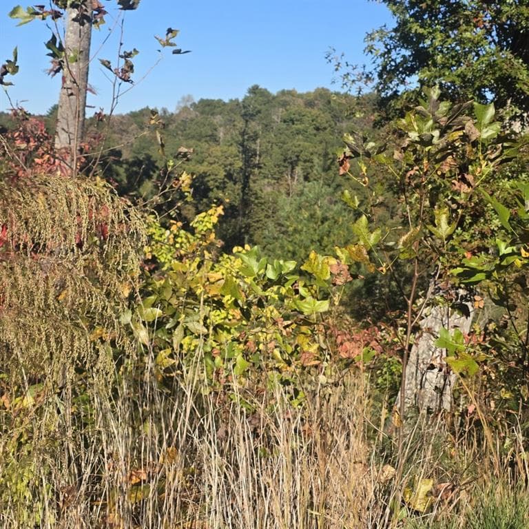 single family residence for sale at Lot 86 River Overlook Lane, Ellijay, GA 30540 — photo 5