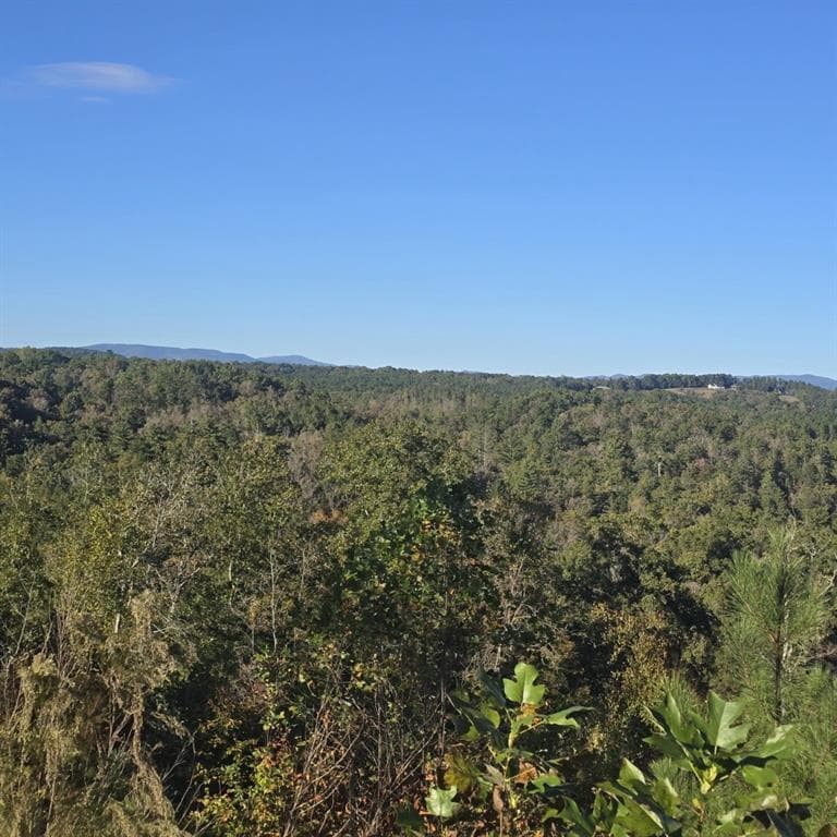 single family residence for sale at Lot 86 River Overlook Lane, Ellijay, GA 30540 — photo 9