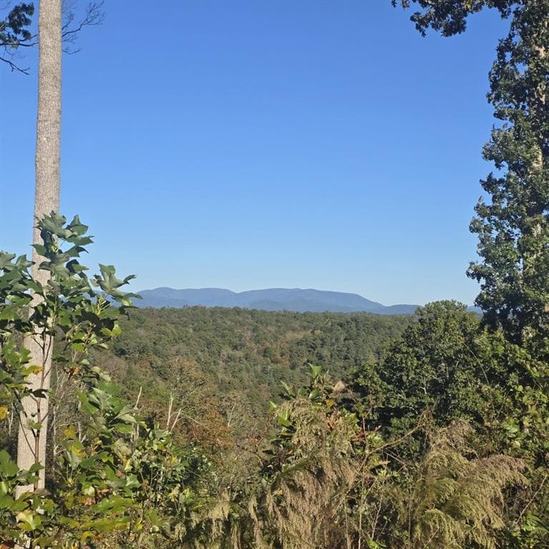 single family residence for sale at Lot 86 River Overlook Lane, Ellijay, GA 30540 — photo 10