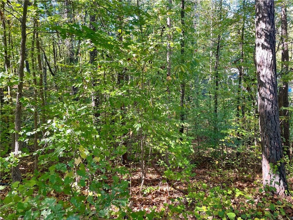 single family residence for sale at 237 Emerald Pines Drive, Dallas, GA 30157 — photo 4