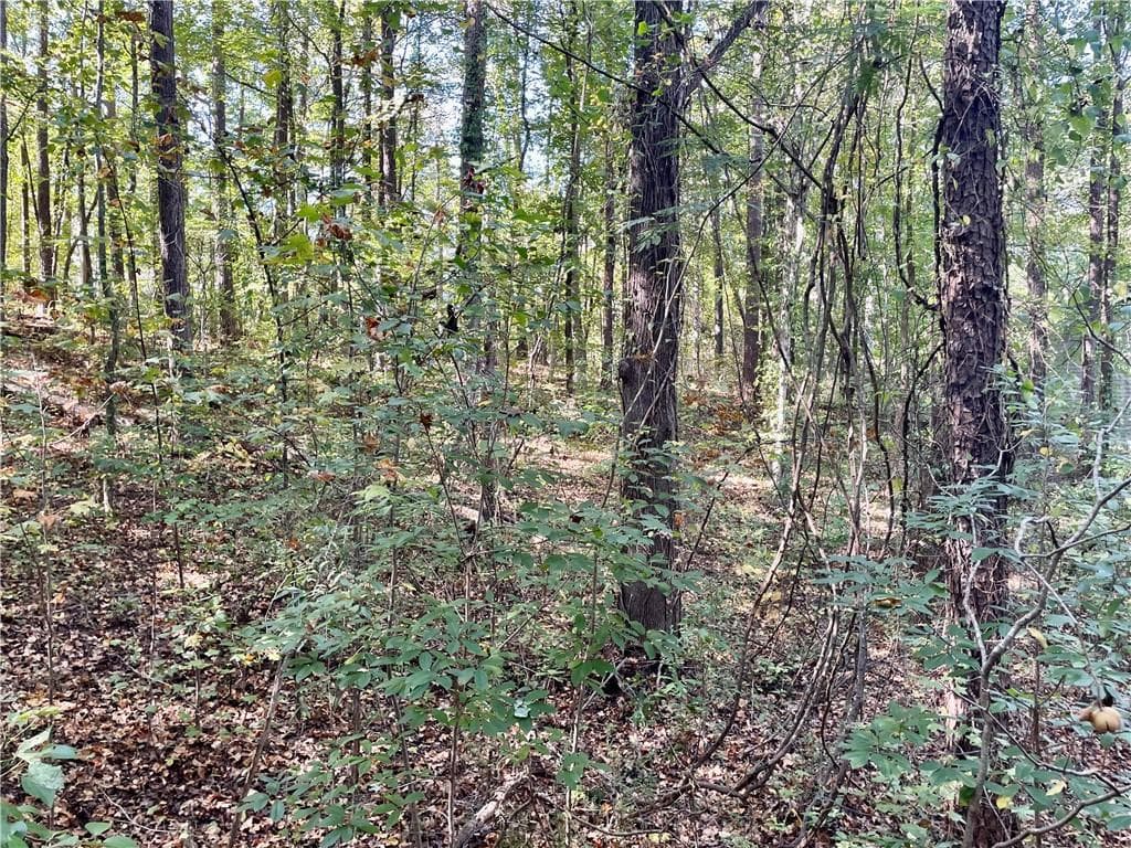 single family residence for sale at 237 Emerald Pines Drive, Dallas, GA 30157 — photo 5