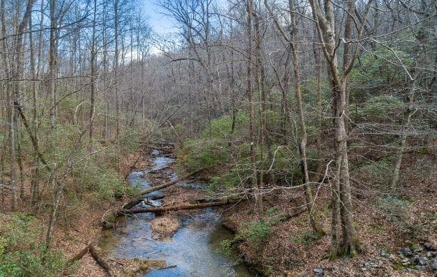other for sale at 232 Andes Ridge, Ellijay, GA 30540 — photo 2