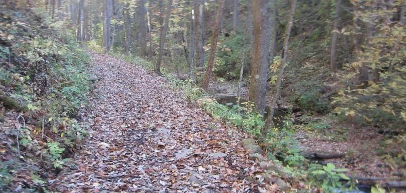 other for sale at 232 Andes Ridge, Ellijay, GA 30540 — photo 4