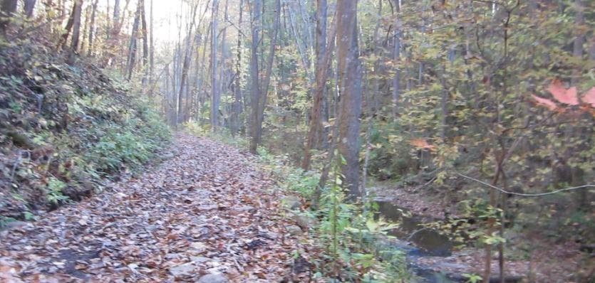 other for sale at 232 Andes Ridge, Ellijay, GA 30540 — photo 5