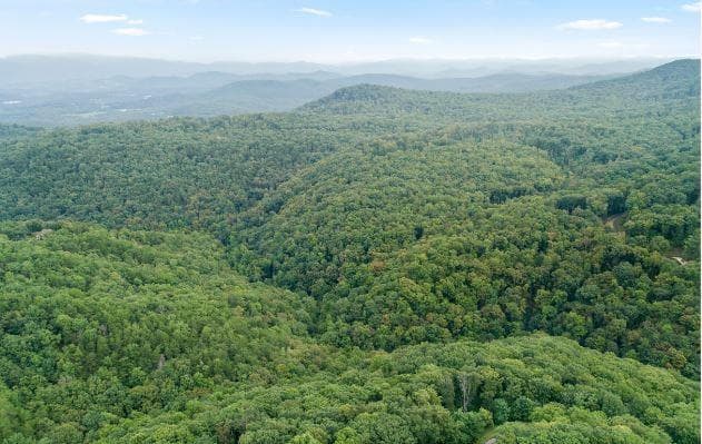 other for sale at 232 Andes Ridge, Ellijay, GA 30540 — photo 6