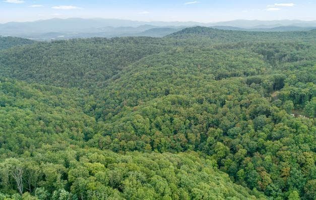 other for sale at 232 Andes Ridge, Ellijay, GA 30540 — photo 7