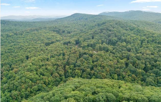 other for sale at 232 Andes Ridge, Ellijay, GA 30540 — photo 8