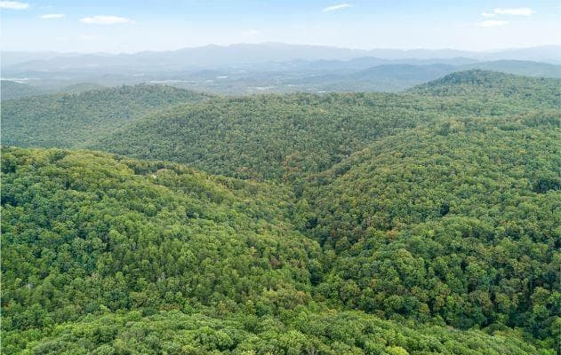 other for sale at 232 Andes Ridge, Ellijay, GA 30540 — photo 9
