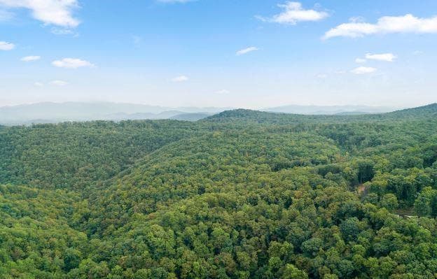 other for sale at 232 Andes Ridge, Ellijay, GA 30540 — photo 10