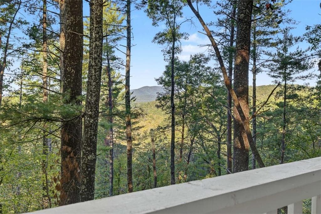 2 bedroom, 1 bathroom, 1,350 sq ft single family residence for sale at 237 Little Rock Creek Court Court, Cherry Log, GA 30522 — photo 5