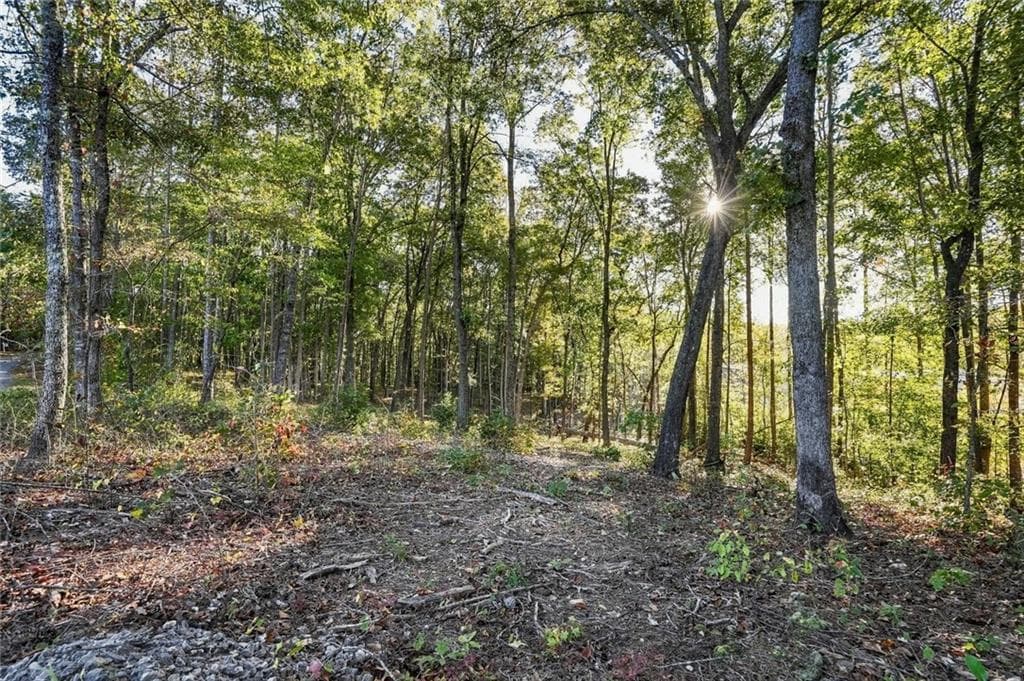 single family residence for sale at 650 Chattin Drive, Canton, GA 30115 — photo 3