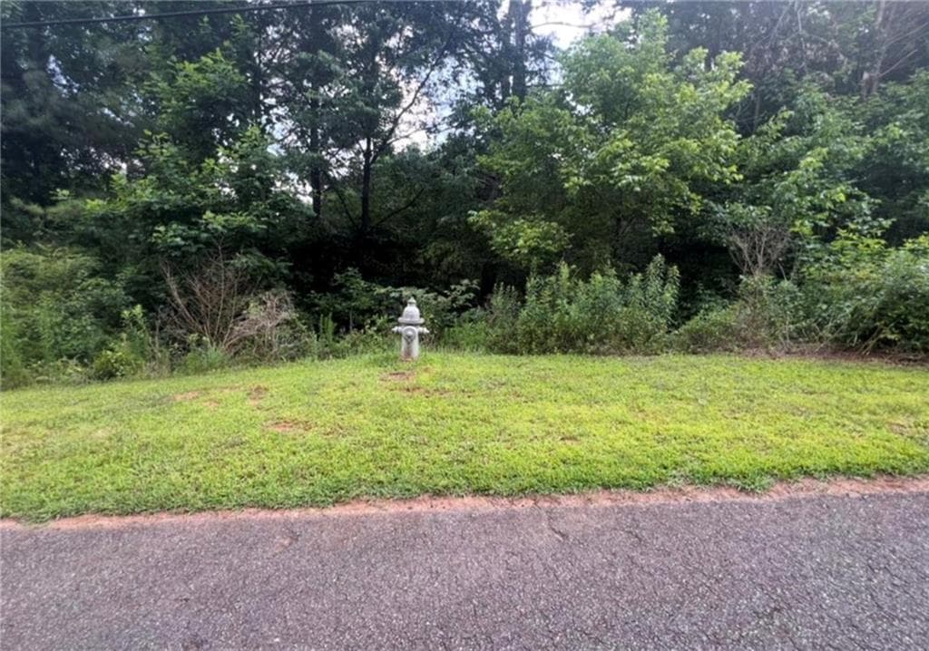 single family residence for sale at 2.5 AC Leyland Heights, Ellijay, GA 30540 — photo 4