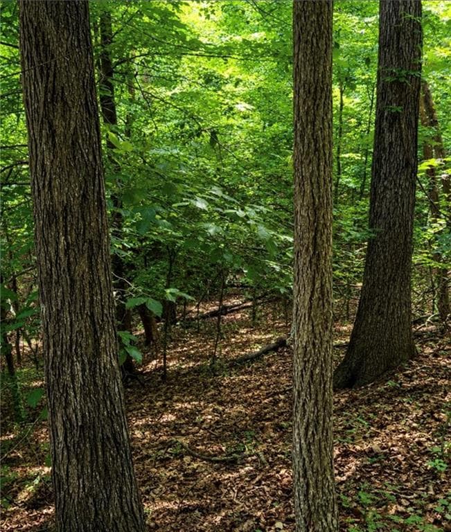 single family residence for sale at 2.5 AC Leyland Heights, Ellijay, GA 30540 — photo 6