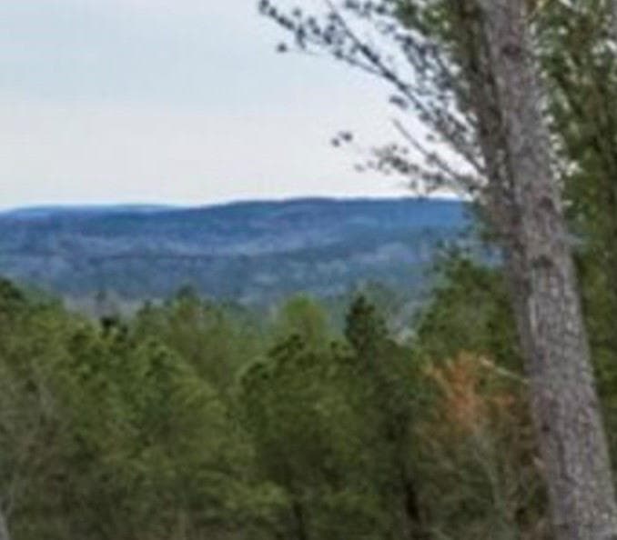 single family residence for sale at LOT103 Blalock Mountain Road, Ellijay, GA 30540 — photo 2