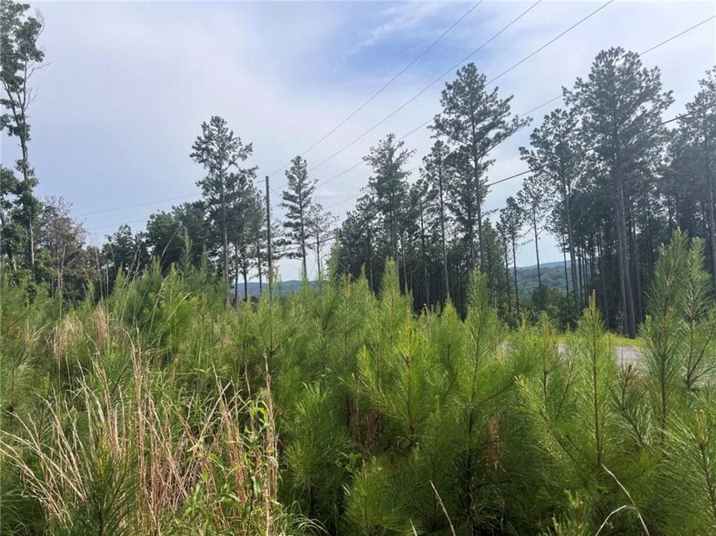 single family residence for sale at LOT103 Blalock Mountain Road, Ellijay, GA 30540 — photo 4