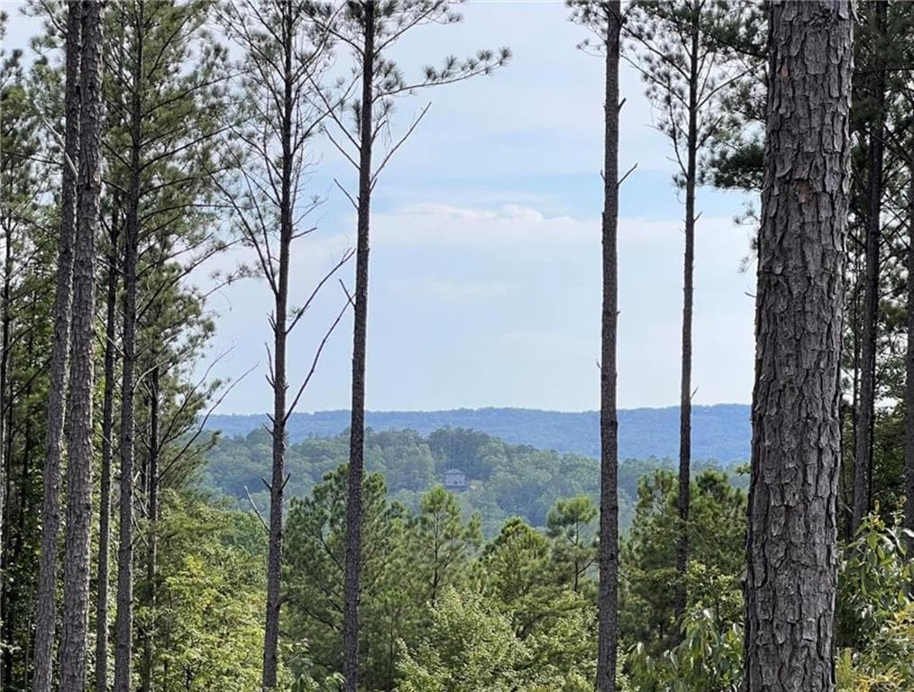 single family residence for sale at LOT103 Blalock Mountain Road, Ellijay, GA 30540 — photo 5
