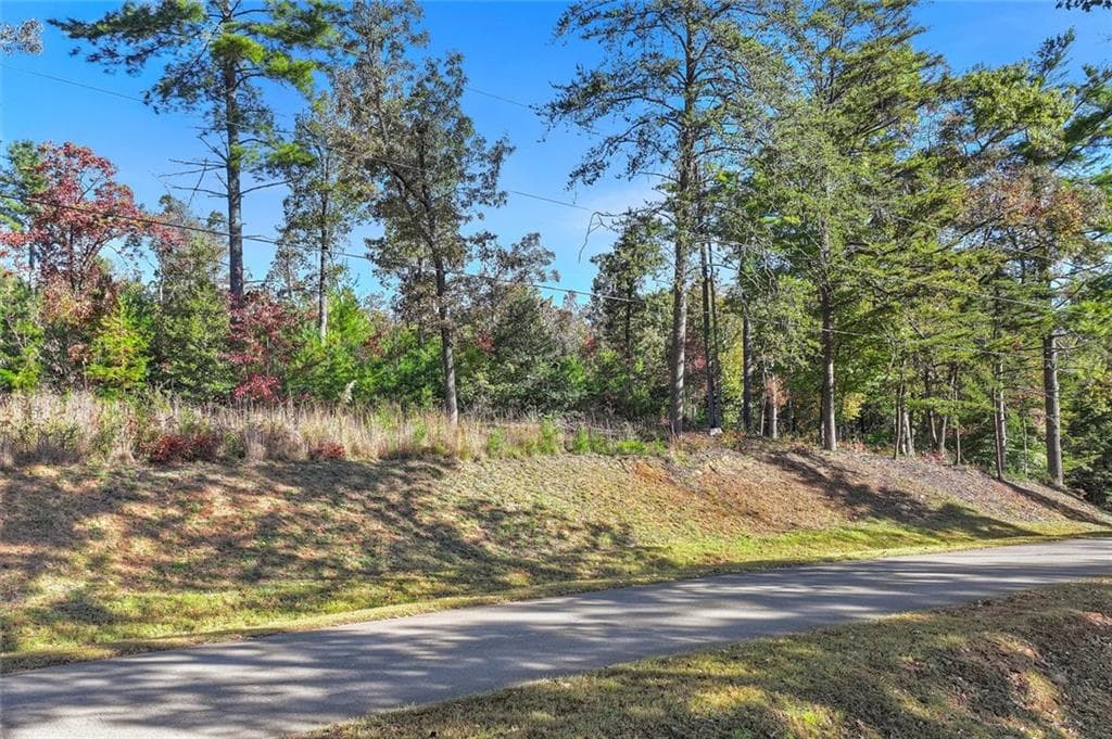 single family residence for sale at 0 Haven Way, Blue Ridge, GA 30513 — photo 5