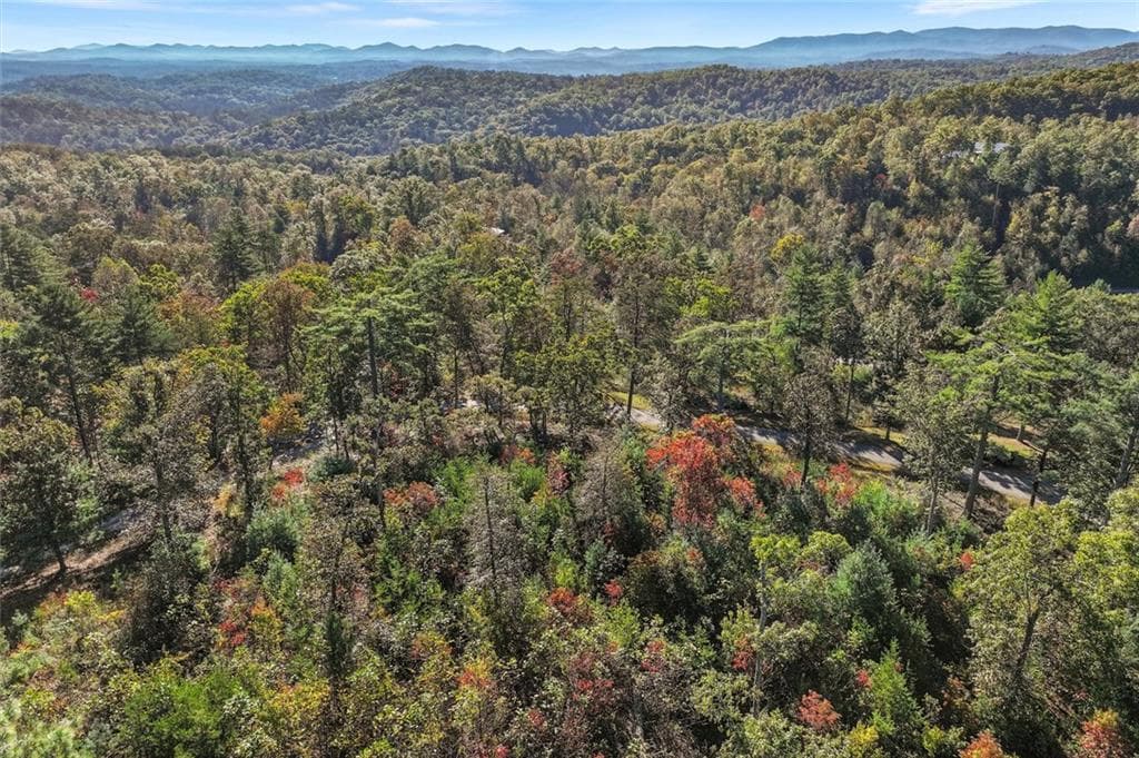 single family residence for sale at 0 Haven Way, Blue Ridge, GA 30513 — photo 6