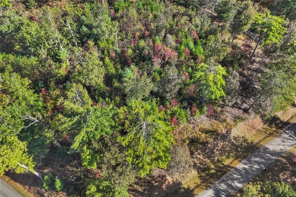 single family residence for sale at 0 Haven Way, Blue Ridge, GA 30513 — photo 7