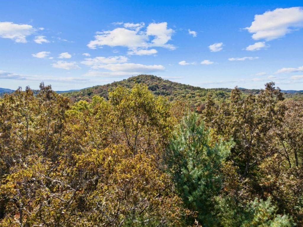 single family residence for sale at LT 12 Hillbilly Holler, Blue Ridge, GA 30513