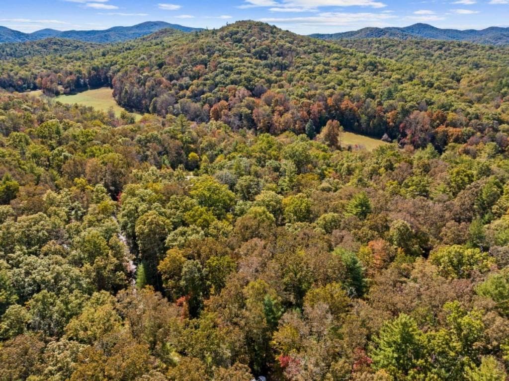 single family residence for sale at LT 12 Hillbilly Holler, Blue Ridge, GA 30513 — photo 3