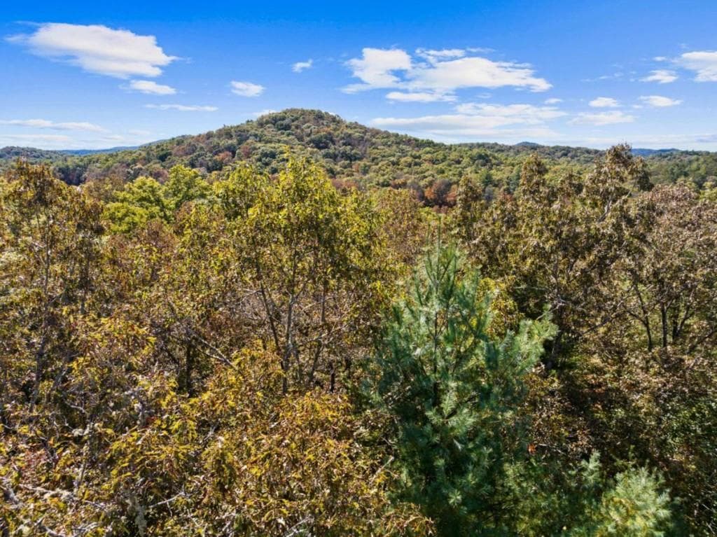 single family residence for sale at LT 12 Hillbilly Holler, Blue Ridge, GA 30513 — photo 4