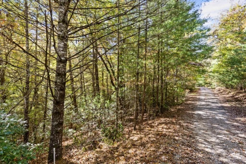 single family residence for sale at LT 12 Hillbilly Holler, Blue Ridge, GA 30513 — photo 5