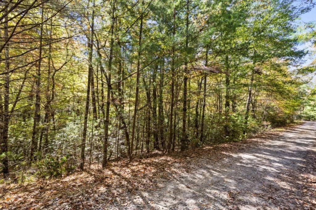 single family residence for sale at LT 12 Hillbilly Holler, Blue Ridge, GA 30513 — photo 6