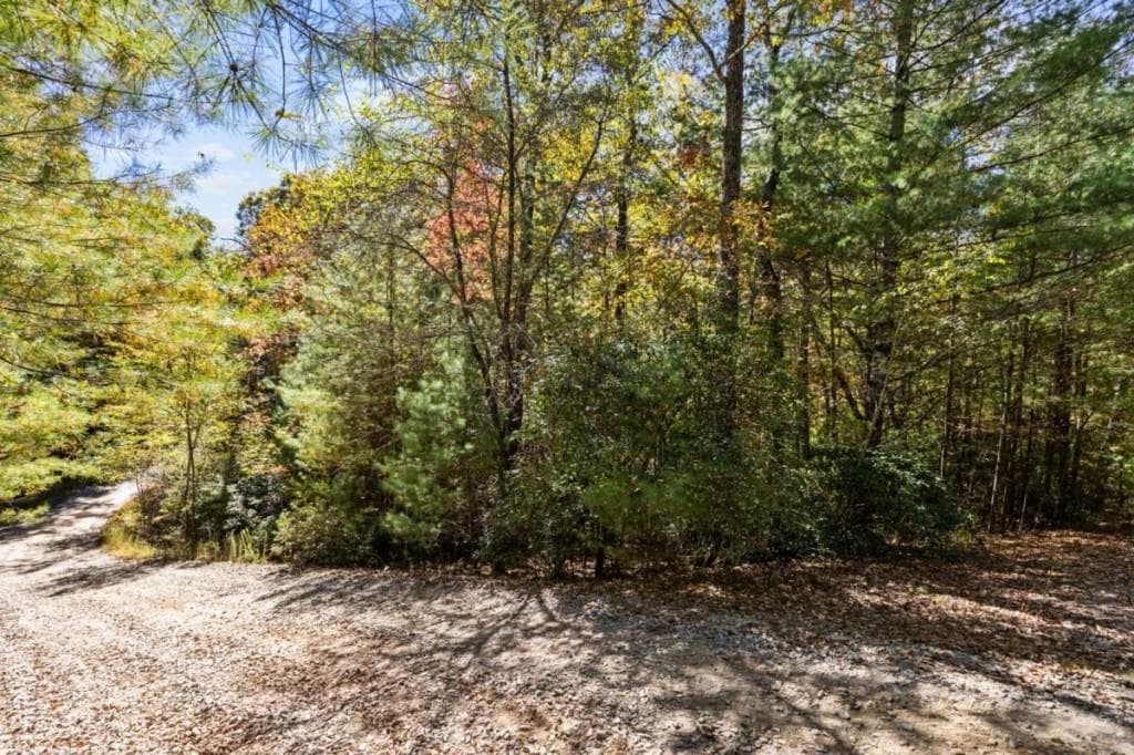 single family residence for sale at LT 12 Hillbilly Holler, Blue Ridge, GA 30513 — photo 7