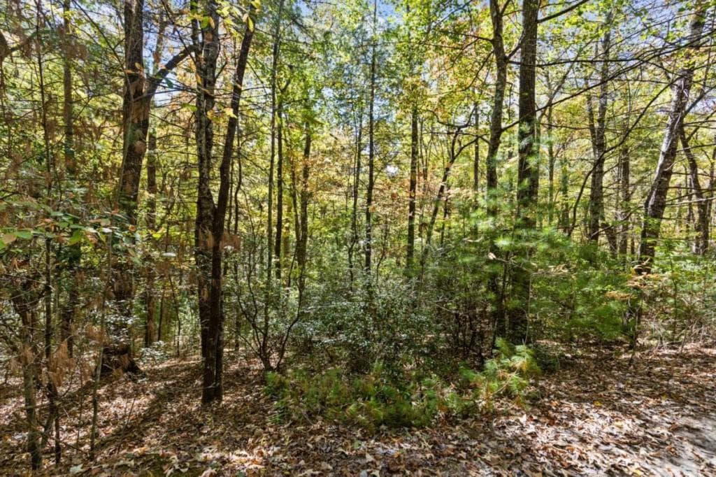 single family residence for sale at LT 12 Hillbilly Holler, Blue Ridge, GA 30513 — photo 8