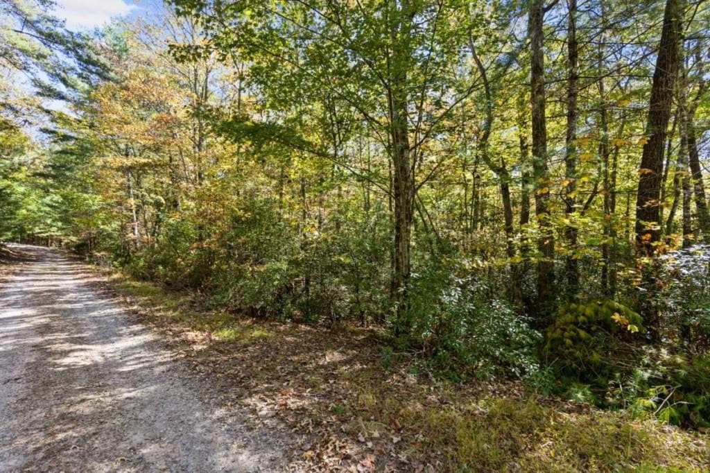 single family residence for sale at LT 12 Hillbilly Holler, Blue Ridge, GA 30513 — photo 9