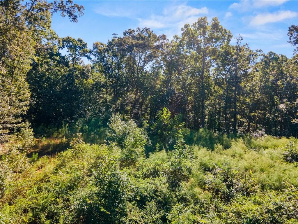 single family residence for sale at 11300 Hutcheson Ferry Road, Chattahoochee Hills, GA 30268 — photo 3
