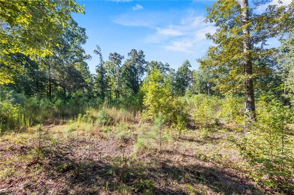 single family residence for sale at 11300 Hutcheson Ferry Road, Chattahoochee Hills, GA 30268 — photo 4